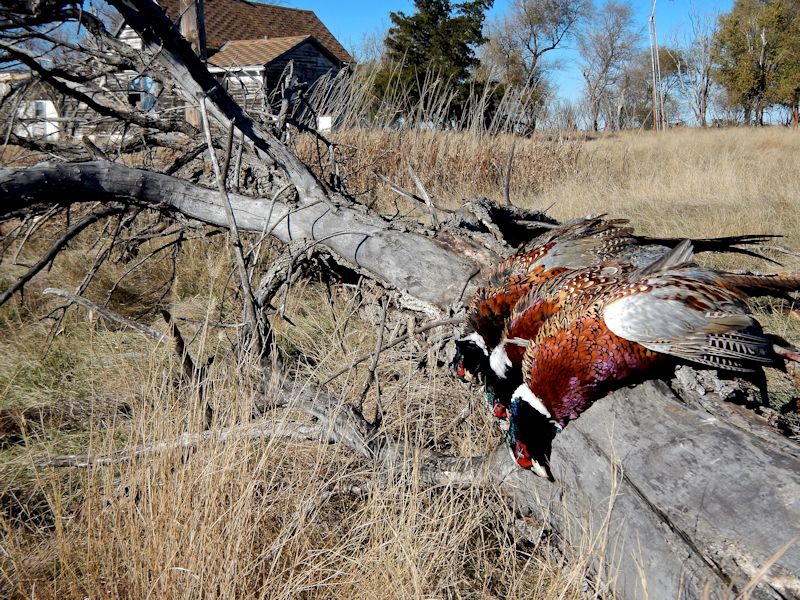 ATV trail riding near Sturgis South Dakota