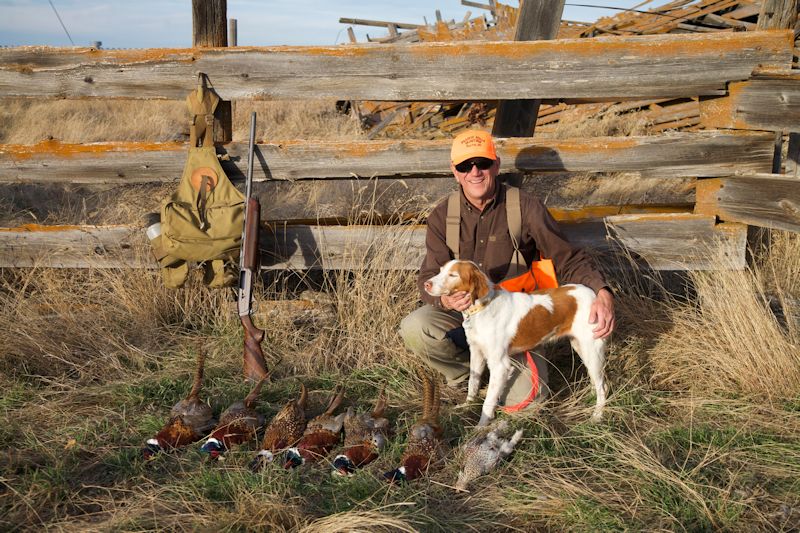 Pheasant and grouse hunting in South Dakota